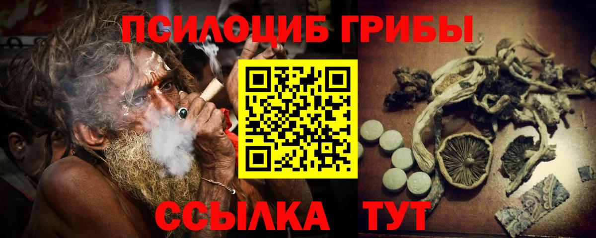 Галлюциногенные грибы MAGIC MUSHROOMS  Вход с VPN  Кохма 